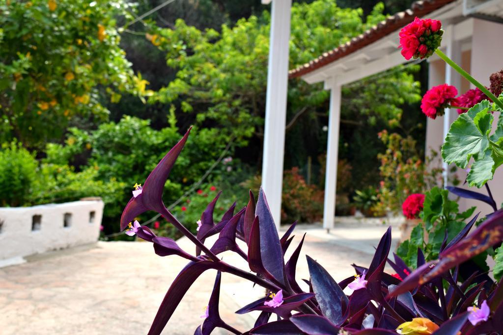 Eden Sea View Studios เมซอนกิ ภายนอก รูปภาพ