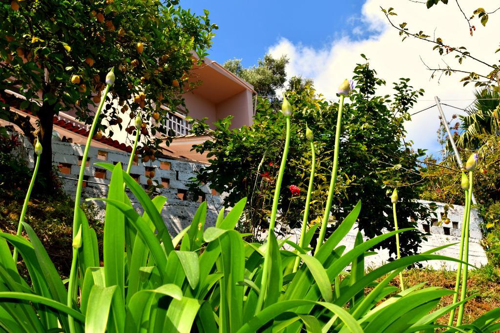 Eden Sea View Studios เมซอนกิ ภายนอก รูปภาพ
